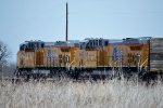 UP 6290 GE C44ACM & UP 6417 GE C44ACM heading a train of FMG locomotives for Western Australia